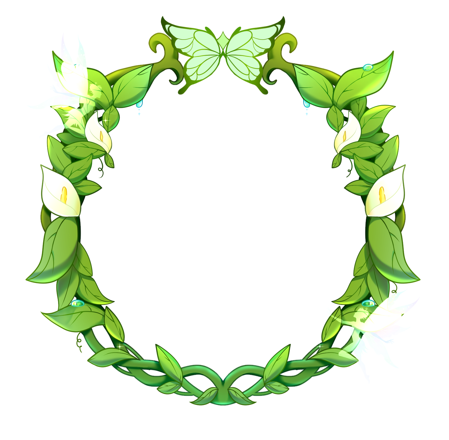 Marco 6